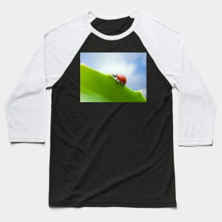 Wall Art - Ladybird, Ladybug Ascent - Photo print, canvas, artboard print Canvas Print Baseball T-Shirt